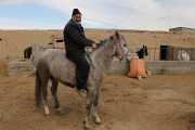 پرورش اسب در دل روستایی کوچک