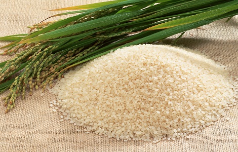 واردات برنج با ۳ شرط آزاد شد