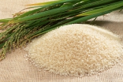 دست دلالان از بازار برنج کوتاه می‌شود